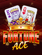 เกม สล็อต ace333 ที่น่าลองสำหรับมือใหม่